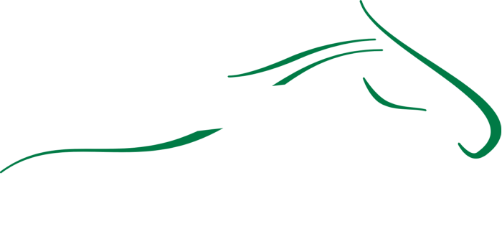 さがけいば